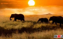 非洲哪些地方好玩?非洲最值得去的十大地方(附图)