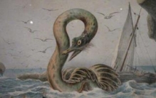 卡迪的大海蛇卡布罗龙，真实存在的水怪(无人质疑)