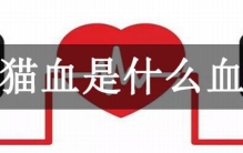 熊猫血是什么血型?Rh阴性血的俗称，我国97%是Rh阳性