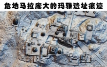 在森林之中被人类找到的6个略显奇怪的事物,森林里发现的奇怪生物