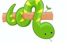 猫为何不怕毒蛇「令人闻风丧胆的蛇为什么猫却不怕猫为何能轻松拿捏蛇」