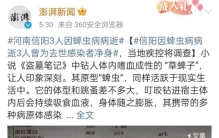 蜱虫咬人后致死的原因,蜱虫死亡事件