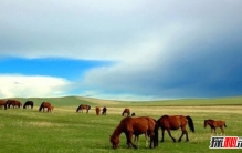 巴林这个国家有钱吗?盘点巴林10大旅游注意事项