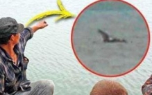 俄罗斯湖中现不明生物生吞活人，19人死不见尸(吃人水怪)