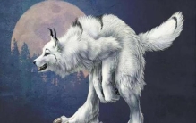 奇闻怪类吖,紫灵狈