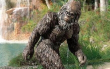 幽威事件非常恐怖 最早发现于澳大利亚的荒野