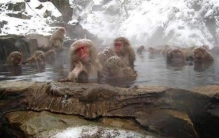 为什么老人容易在冬天死亡,为什么冬天老人容易去世