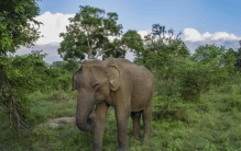 楼市奇闻录购房定金真是打市长热线要回来的吗