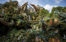 没有外星人，会有外星植物吗？科学家：木卫二或许存在微生物