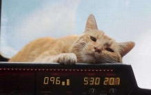 惊奇队长噬元兽有多强?胃是另一个维度可以吞下宇宙