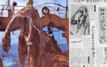 日本1977年海怪尸体事件，海怪真实图片曝光真恐怖