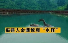 大金湖水怪之谜：吃掉200多万条鲢鱼，至今逍遥法外
