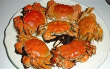 我国十大常见螃蟹品种  你喜欢吃哪种蟹