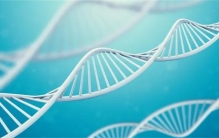 基因编辑可以治愈白血病 为啥还有人反对（基因编辑）