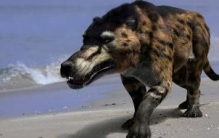 神龙架驴头狼，驴头狼身的诡异存在(实则史前动物沙犷)