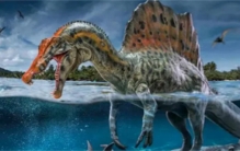 最强的十大恐龙  排名不分先后  你认识几个