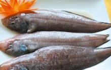 龙利鱼是什么鱼?形似牛舌，眼睛竟长在同一边(肉质鲜嫩)