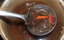 罂粟最毒的部位是哪里  在食物中添加罂粟壳  吃了会让人上瘾吗