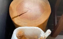 搞笑奇闻趣事大全集,搞笑奇闻