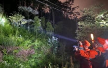 3只金钱豹外逃,动物园探险之旅