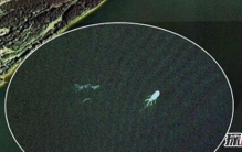 盘点震惊世界的不明生物 墙壁惊现两娇小外星人影子