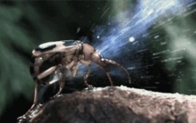 天下奇闻蒙娜丽莎笑没笑要看观众心情一周喝五罐啤酒早逝风险上升