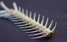 鱼刺卡喉咙怎么办?喝醋可以软化鱼刺吗（生活误区）