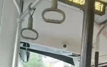 【公交奇闻】女子围殴乘客，被拘9天罚款400元，真相曝光！