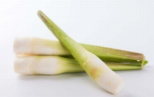 茭白是什么?感染黑粉菌形成的变异根茎(形似竹笋)