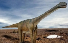 史前巨兽现身！揭秘世界上已知的6种巨型恐龙