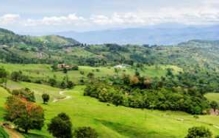 哥斯达黎加旅游安全吗?哥斯达黎加十大真实生活