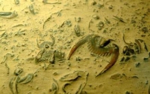 地球演变的五个时代 太古代最早混沌不堪尚未形成陆地