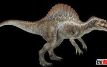 棘背龙vs雷克斯霸王龙,霸王龙全方位碾压棘背龙