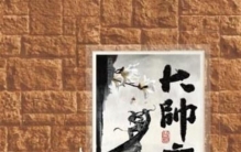 沈阳3.8大案纪实小说,老重庆故事大全