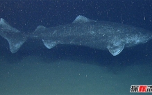 海洋的秘密有哪些?人类不知道的15大海洋知识