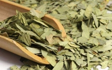 番泻叶的功效与作用有哪些?番泄叶可以减肥吗