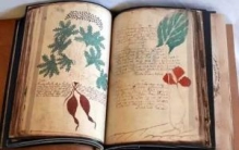 揭秘伏尼契手稿真相，简直让人啼笑皆非（妇女保健手册）