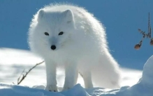 盘点民间四大奇闻事件实际发生的异常事件,中国民间流传最广的八个诡异事件