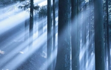 怀孕奇怪事「解疑篇怀孕期间荒诞离奇的怪梦究竟有什么含义」