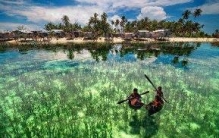 恐怖的马尾藻海，被称为大西洋海上坟场(吞噬人命)