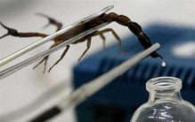 世界上最贵的10种液体：蛇毒排第二，蝎毒居首