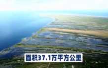 世界最大的湖泊，面积略小于云南省。