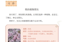 写一篇作文题目《我的植物朋友》,我的植物朋友三年级满分作文