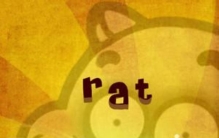 你的生肖适合养什么宠物,哪些生肖适合养宠物