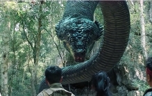 世界上体型最大的蛇有多大？秦岭传说中的“盘山蟒”真的存在吗？