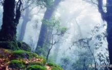 哀牢山猝死之谜,解密哀牢山事件死亡原因深度分析