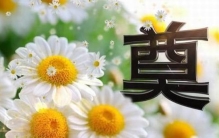 这不是封建迷信是一种文化详解农村丧葬古老传统习俗