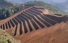 怪怪打油诗,打油小诗