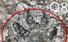 全村家狗狂叫10分钟，菜地里惊现巨大动物脚印，是华南虎重现吗？