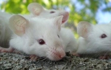 8个大自然奇特的怪事,最奇怪大自然现象